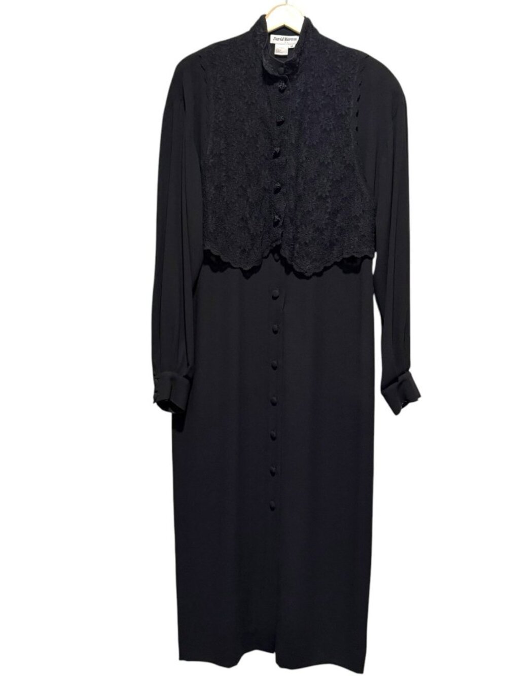 VTG David Warren Sz L Lace Vest Long Sleeve Button Front Midi Whimsigoth Dress - Picture 2 of 11